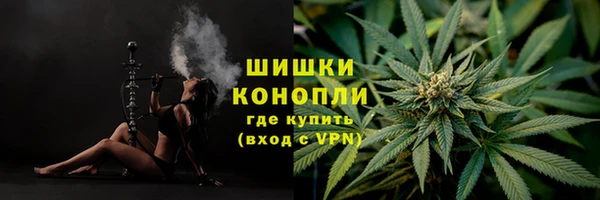 дживик Беломорск