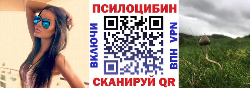 Галлюциногенные грибы Psilocybine cubensis  где купить   Гатчина 