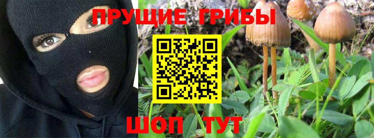 Гатчина  ТГК  Конопля  Мефедрон   ГАШ  Амфетамин   МЕФ  Вход с VPN  КОКАИН 