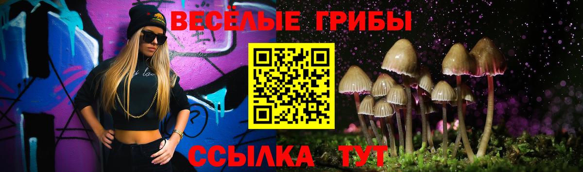 Галлюциногенные грибы MAGIC MUSHROOMS  Вход с VPN  Гатчина  Галлюциногенные грибы Psilocybine cubensis 