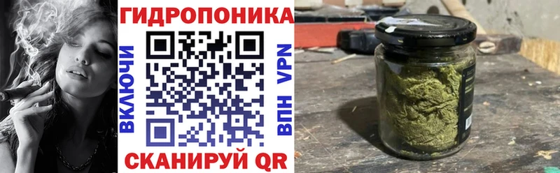 Конопля White Widow даркнет сайт Гатчина